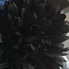Ellie - @its.ellie.dutton - TikTok