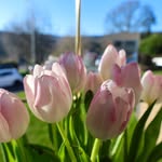 Ellie Ford - @fords_photography18 - Instagram