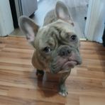 Ellie Hebert Chainey - Facebook