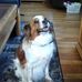 Ellie Helder - Facebook