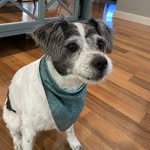 Ellie Hendrix - @ellie_the_goose - Instagram