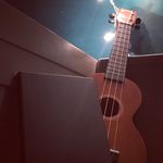 Ellie Hoffman - @ellies_ukulele14 - Instagram