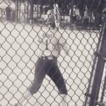 Ellie Hoffman - @elliehoffmansoftball - Instagram