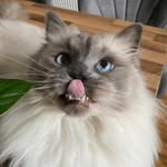 Ellie - @ellie_huffo_ - Instagram