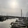 Ellie Hurst - @ellie.hurst81 - TikTok