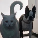 Adventures of Ivory and Ellie - @ivoryandellie - Instagram