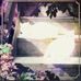 Ellie Kirkpatrick - Facebook
