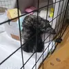 까미까미 - @ellieko16 - TikTok