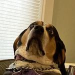 Ellie Kramer - @therealslimellie - Instagram