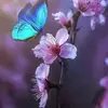 Ellie Lambert - @whoisoutfirst123456789 - TikTok
