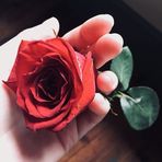 Ellie Lang - Facebook
