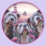 Ellie Langley - @ellieandhersolsisters - Instagram