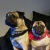 ellielarge.xo - @ellielarge.xo - TikTok