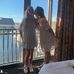 Elle Larson - Facebook
