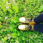 Ellie Leon - @ultimate_fangirl_ellie - Instagram