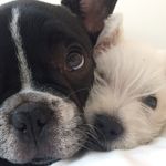 Marcus and Ellie - @marcus_and_ellie - Instagram