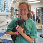 Ellie Maxwell - @ellies.vet.ventures - Instagram