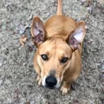 Ellie - @ellieorrwhat - Instagram