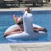 ellieorr210 - @ellieorr210 - TikTok