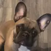 ellie_packs_random_stuff - @ellie_packs_random_stuff - TikTok