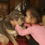 Ellie Rae and The Pack - @ellieraeandthepack - Instagram