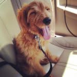 Ellie Doodle Parrish - @thedoodle_ellie - Instagram