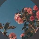 Elle Pendleton - Facebook