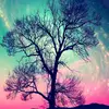 elliepostr01 - @elliepostr01 - TikTok
