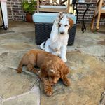 Ellie and Eli Powers - @life_with_ellie_and_eli - Instagram