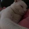 elliereed1790 - @elliereed1790 - TikTok