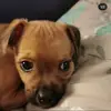Ellie Simon - @ellie.simon7 - TikTok