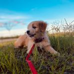 Ellie Singh - Facebook