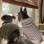 Ellie Belly & Smiley Miley - @elliebellyandsmileymiley - Instagram