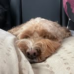 Ellie - @smiley_ellie - Instagram