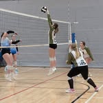 Ellie - @elliewallacevb - Instagram