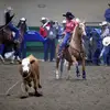 Jojo - @webber.elliept2 - TikTok