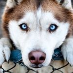 Ellie may Brierly - @ellie_wolf_679 - Instagram