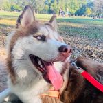 Ellie Spartacus Wolf - @_elliewolf - Instagram