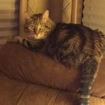 Ellie Yoder - Facebook