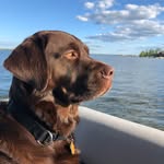 Wellington - @wellingtonporter - Instagram