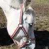 Ellinor Vitorina Andersen Gouveia - @ellibelli33 - TikTok