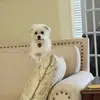 elliottallison293 - @elliottallison293 - TikTok