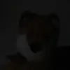 Elliot Baker - @elliot.baker36 - TikTok