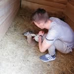 Elliot - @elliotbarlow.j.3 - Instagram
