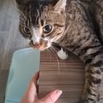 Elliot Barr - @elliot_barr - Instagram