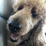Barrett - @barrett_elliot_charles_solar - Instagram