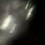 Elliot Barton - @elli_otbarton.pt2 - Instagram