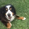 elliotbarton64 - @elliotbarton64 - TikTok