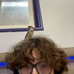 Elliot and omelette - @elliotthebirdbender - Instagram