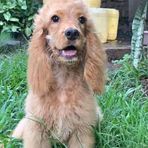 Elliot Benjamin - Facebook